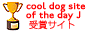 Cool DOG Site of the Day JAPAN